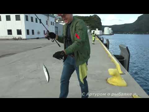 Видео: Теперь есть из чего делать тушёнку.  Рыбалка на гирлянду