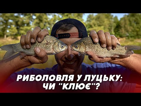 Видео: 🐟🎣Риболовля у Луцьку: що ловлять і на що | РЕПОРТАЖ