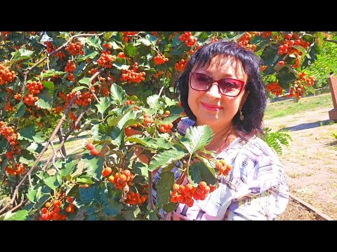 Видео: 💛СТРАДАЮТ ПРОСТЫЕ ЛЮДИ ‼️10.09.2025 г.
