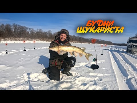 Видео: Щука, рыбалка на Сахалине. Вот это рыбалка! Живец или заморозка? Ловлю Щуку и Налима
