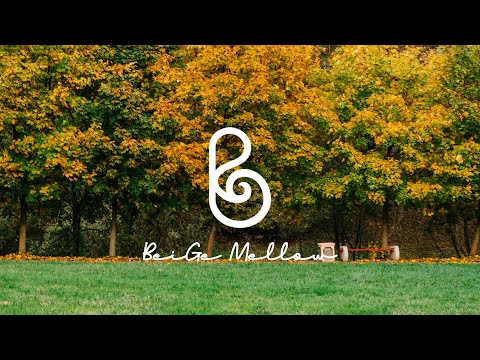 Видео: Деревья наряжаются к осени и пианино в стиле нью-эйдж