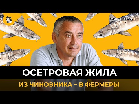 Видео: Чиновник бросил высокую должность и стал фермером. Крупнейшее осетровое хозяйство в Татарстане