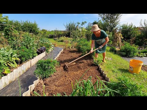 Видео: Утро в ДЕРЕВНЕ. арбузы / Такая красивая, а вредит. Пришла пора сделать это.