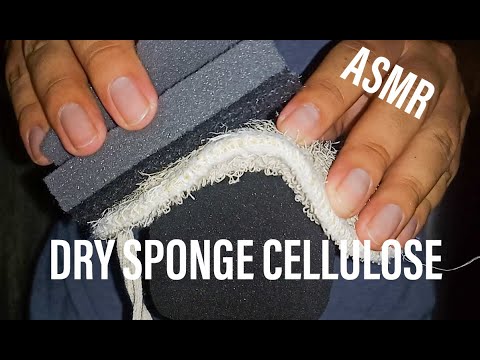 Видео: АСМР / Быстро и агрессивно / Царапание, расчесывание и выжимание сухой целлюлозной губки