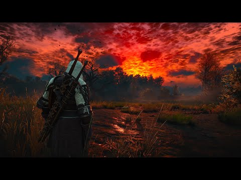 Видео: На максимальной сложности НГ+ │Ведьмак 3: Дикая Охота│#1