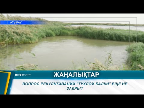 Видео: ВОПРОС РЕКУЛЬТИВАЦИИ "ТУХЛОЙ БАЛКИ" ЕЩЕ НЕ ЗАКРЫТ