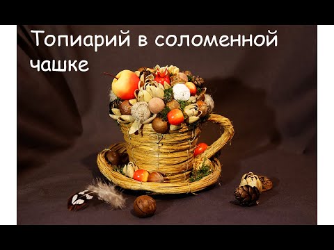 Видео: Топиарий. Осенняя композиция из природных материалов.