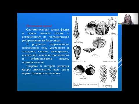 Видео: Видеоурок 10 Общая и историческая геология