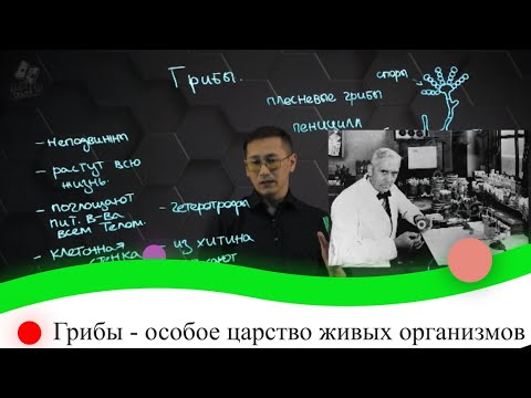 Видео: Грибы - особое царство живых организмов. 8 класс.