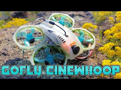 Видео: ✔ Мой Любимый - CineWhoop Gofly Scorpion 80HD с камерой Runcam Split 2!