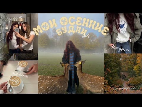 Видео: ВЛОГ | МОИ БУДНИ | ПОКУПКИ К ОСЕНИ | ДРУЗЬЯ | РУТИНА 