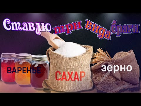 Видео: Брага. Ставлю три вида браги.