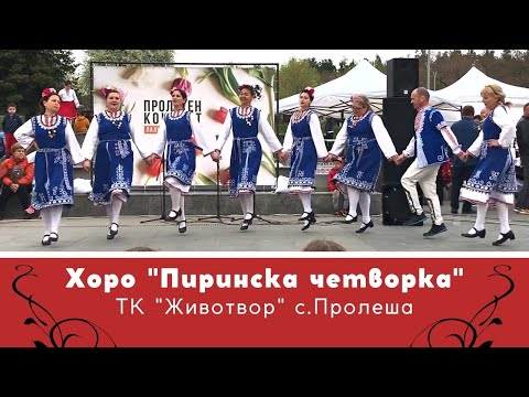 Видео: Хоро - Пиринска четворка - ТК  "Животвор" с. Пролеша