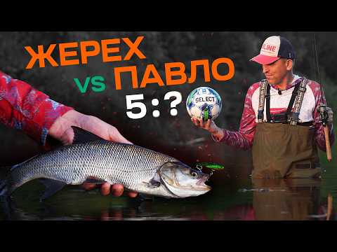 Видео: Потужні клювання жереха на метал та воблери! Як піймати невловимого хижака на Дніпрі?