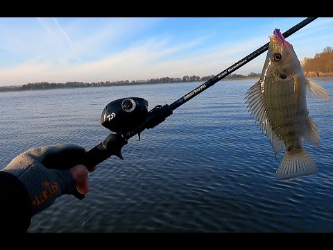 Видео: Breaden+тилапия=атомная рыбалка.  Делюсь опытом с подписчиком.