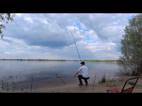 Видео: Ловля Ляща в Києві на Дніпрі.На вечір підійшли!Фідерна рибалка в Києві 2024.