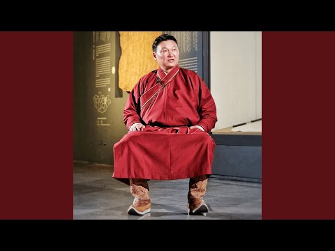 Видео: Аавын нөмөр