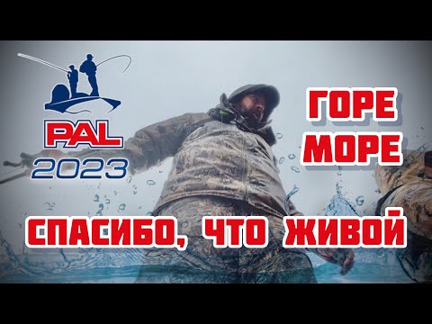 Видео: PAL 2023. ГОРЕ МОРЕ. Спасибо что живой