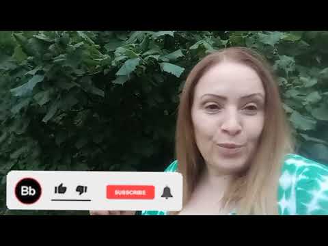 Видео: СОБРАЛИ   БОГАТЫЙ  Урожай / ЗЕЛЕНЫЙ  ГОРОХ  НА  ЗИМУ