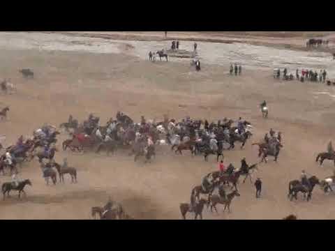 Видео: Буз дар н ш шоин чамоати дехоти саричашма