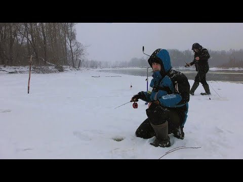 Видео: Зимова Риболовля на Десні. Шукаємо Хижака