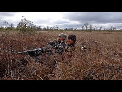 Видео: Через Васюганское болото в ссылку. ЗА БОЛОТО — к заброшенным деревням в места сибирской ссылки