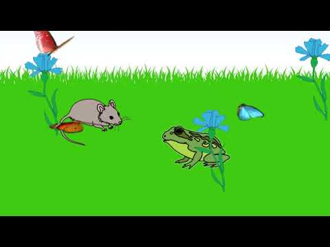 Видео: Жабка й Мишка: Пригода на ставку | Казка | @skovoroda.library