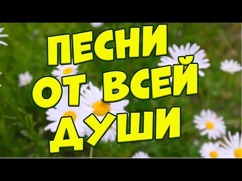 Видео: Заходи и Слушай! Здесь самые Лучшие песни!