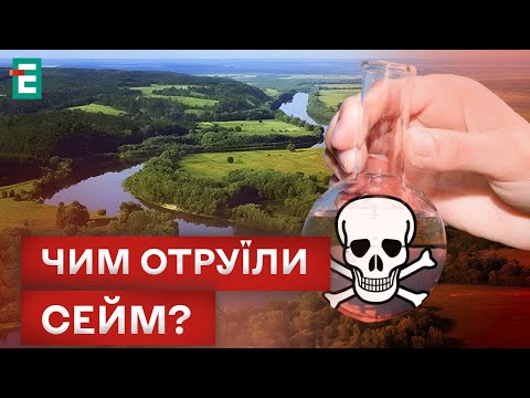 Видео: 😱 «ЧЕРНЫЙ» СЕЙМ: ТОННЫ ДОХЛОЙ РЫБЫ, СТРАННЫЙ НАЛЕТ И ОСАДОК - ЕСТЬ ЛИ УГРОЗА ДЛЯ ЛЮДЕЙ?