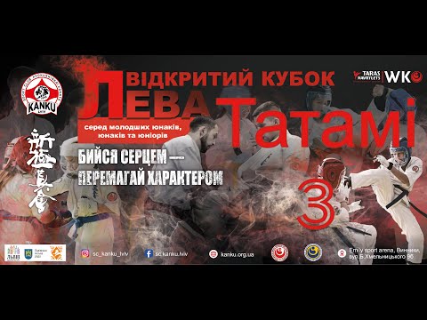 Видео: Кубок Лева 1.11.25 Татамі 3