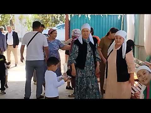 Видео: 14 сентября 2025 г.