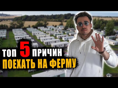Видео: ТОП 5 причин УЕХАТЬ работать на ферме в ВЕЛИКОБРИТАНИИ.