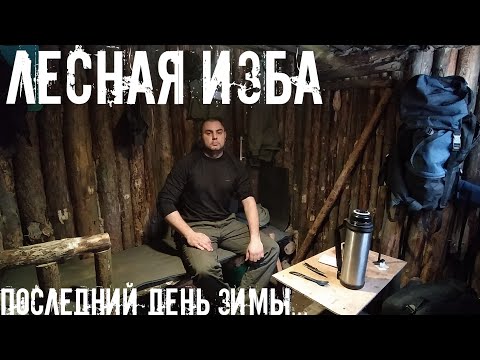 Видео: ЛЕСНАЯ ИЗБА | НОЧУЮ ЗИМОЙ В САМОДЕЛЬНОЙ ЛЕСНОЙ ИЗБЕ | ЗАПЕКАЮ МЯСО В ПЕЧКЕ