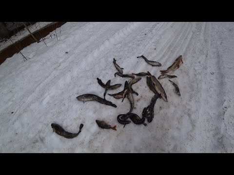 Видео: ИВИНСКИЙ РАЗЛИВ / ЗАКРЫТИЕ СЕЗОНА 2023