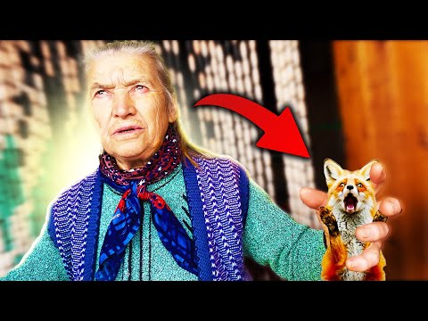 Видео: УБИ 28 КОКОШКИ! 💀