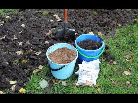Видео: Какие удобрения вносить в почву осенью