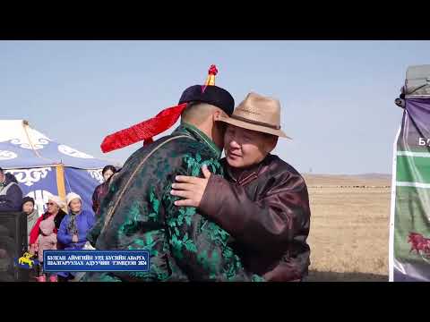 Видео: Булган аймгийн Урд бүсийн аварга шалгаруулах адуучин тэмцээн 2024 он