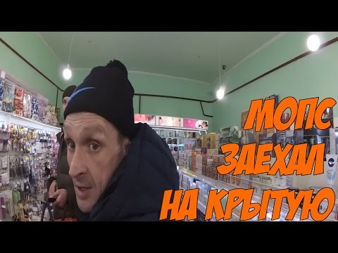 Видео: Мопс заехал на крытку или Мопс общается с Аватаром о 25-ой зоне