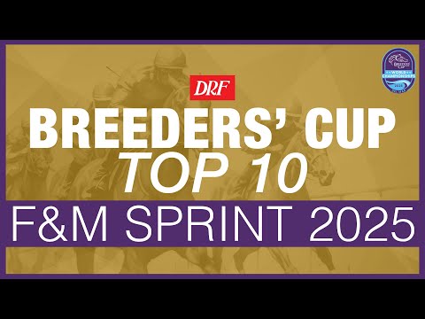 Видео: Фокус на Кубке заводчиков | Спринт кобыл и кобыл 2025