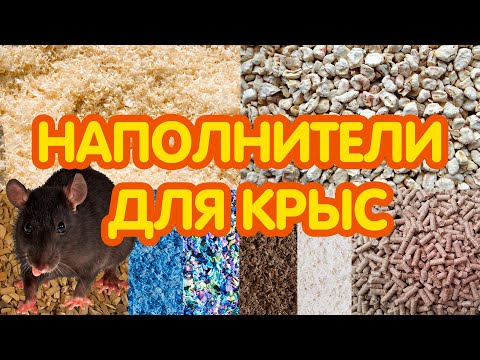 Видео: Наполнитель для крыс - какой лучше?