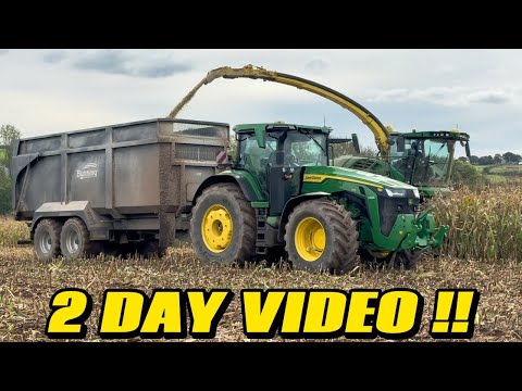 Видео: УБОРКА И ЗАСЕЯНИЕ ЗЕМЛИ ПРОВЕДЕНЫ ЗА 2 ДНЯ, КУКУРУЗА СНЯТА, ПШЕНИЦА ПОСЕЯНА.