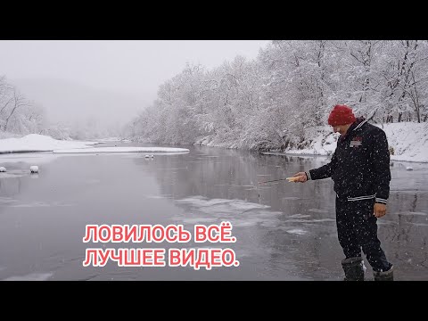 Видео: Зимняя рыбалка 2023. Ловля селёдки. ловля зубаря на блесна. зимняя рыбалка владивосток.