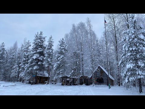 Видео: Трое суток в глухой Тайге | Рыбалка с ночевкой в лесной избушке | Настоящая зимняя сказка Карелии