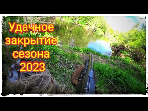 Видео: Закрытие Весенней охоты 2023!Ночую в лесу,готовлю на костре