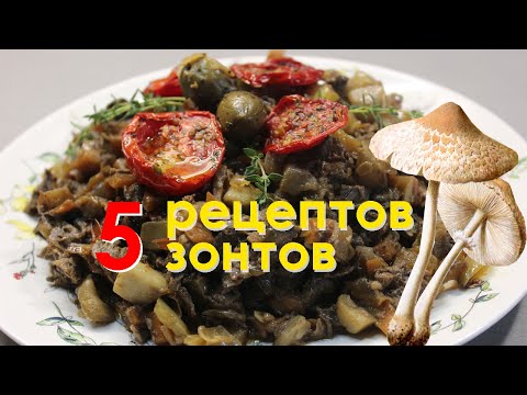 Видео: Как только Вы увидите эти рецепты, лес опустеет и грибы исчезнут. 5 рецептов приготовления зонтов.