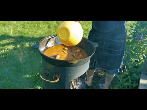 Видео: Мошкичара