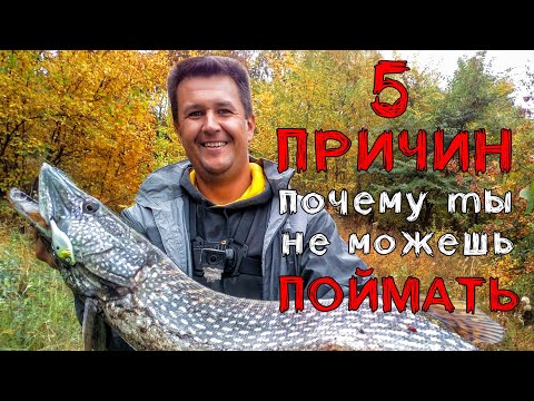 Видео: 5 ПРИЧИН почему ты не можешь ПОЙМАТЬ на Вибы и Раттлины