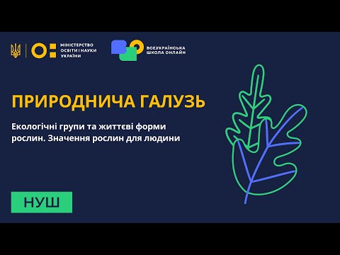 Видео: Природнича галузь. Екологічні групи та життєві форми рослин. Значення рослин для людини