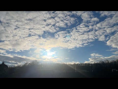 Видео: 🌳Целитель. Послание Мужского Рода. Читаем Поток💫 #ясновидение #целитель #таро #потоктаро 