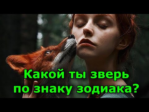 Видео: Какое животное соответствует вашему знаку зодиака. Какой ты зверь.